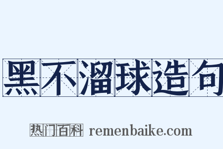 黑不溜球造句是什么意思的图片